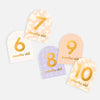 Fox & Fallow - Baby Milestone Cards-Helios.