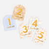Fox & Fallow - Baby Milestone Cards-Helios.