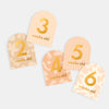 Fox & Fallow - Baby Milestone Cards-Helios.